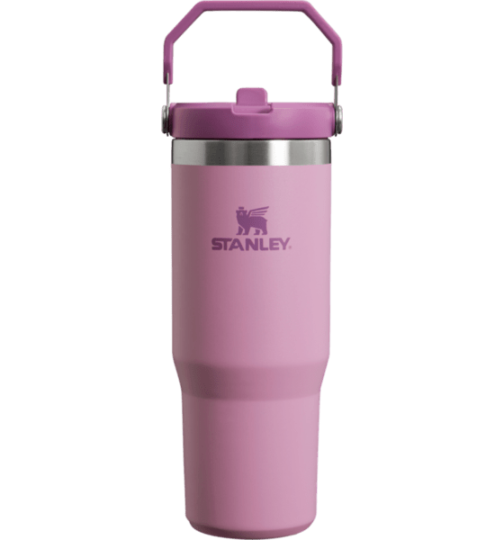 
STANLEY, 
The Iceflow Flip Straw Tumbler 0,89L, 
Detail 1
