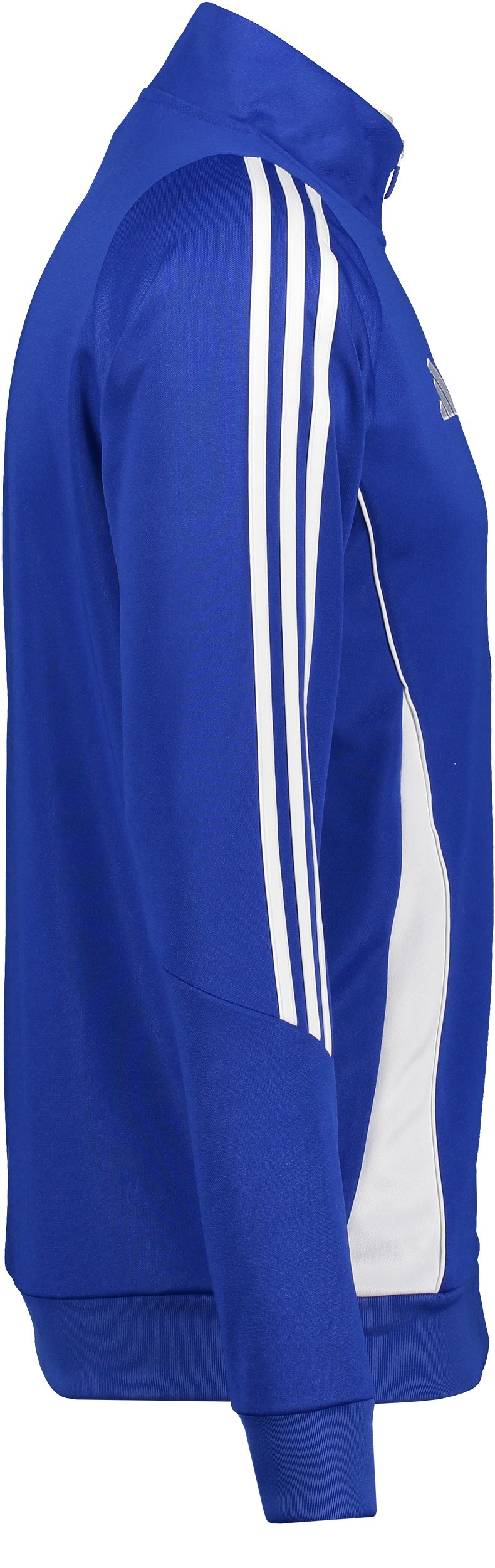 ADIDAS, TIRO24 TR JKT JR