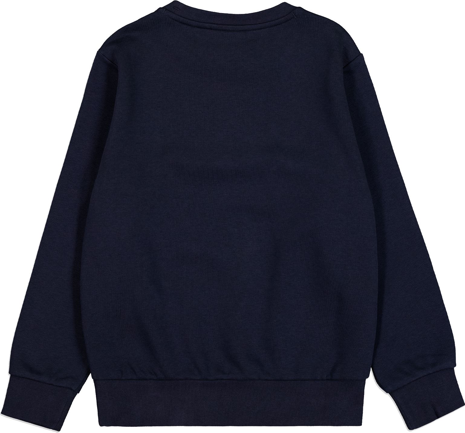 CHAMPION, J CREWNECK SWEATSHIR