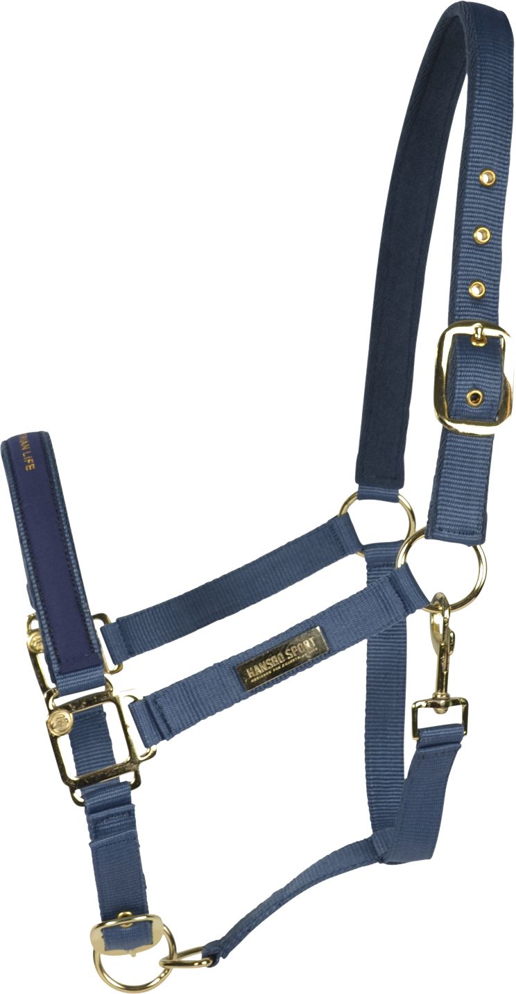 HANSBO, HALTER